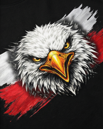 Koszulka patriotyczna z orłem czarna - biało-czerwony nadruk | Print Majster